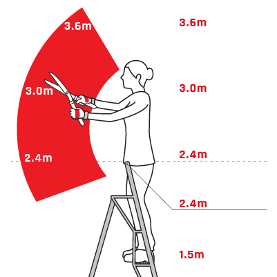 Tripod ladder infograph